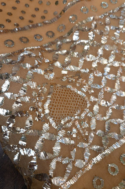 Pure Organza Kaamdani Saree