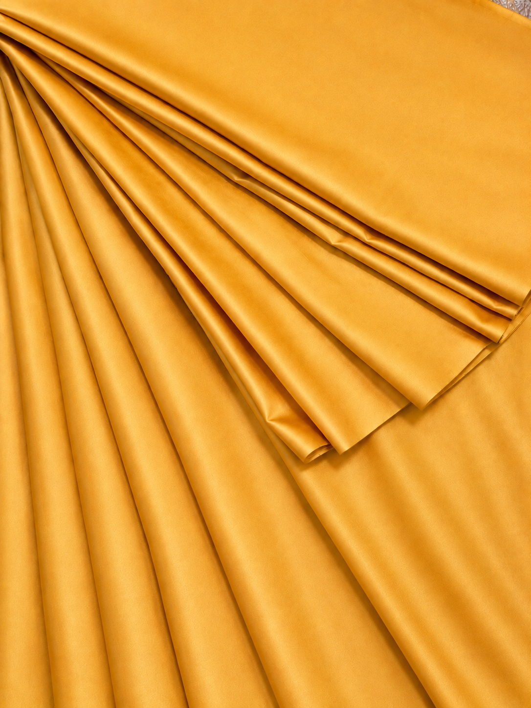Contemporary Double Katan Banarsi Saree