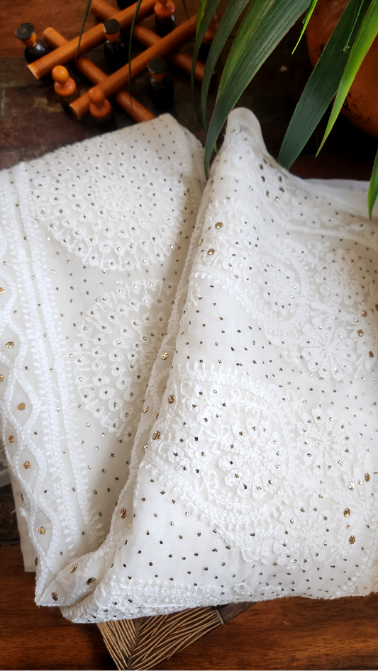 Organza Chikankari Saree