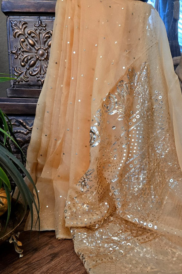 Pure Organza Kaamdani Saree