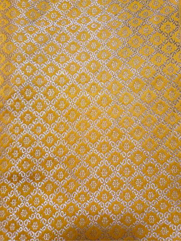 Contemporary Double Katan Banarsi Saree