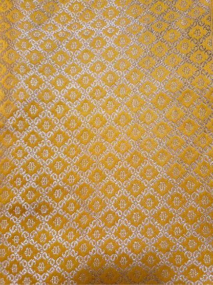 Contemporary Double Katan Banarsi Saree