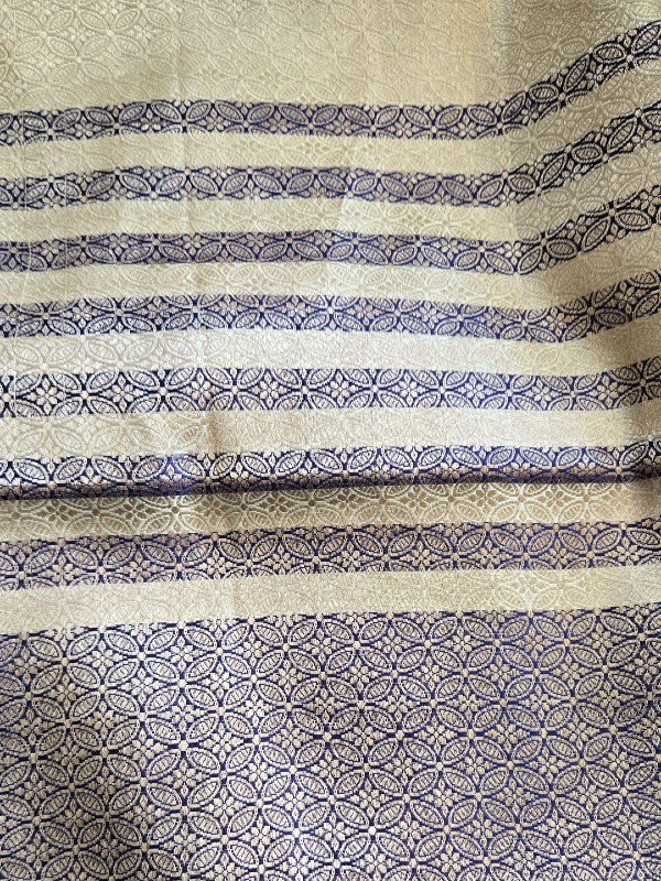 Contemporary Double Katan Banarsi Saree