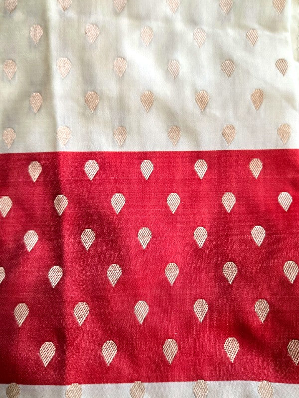 Contemporary Double Katan Banarsi Saree