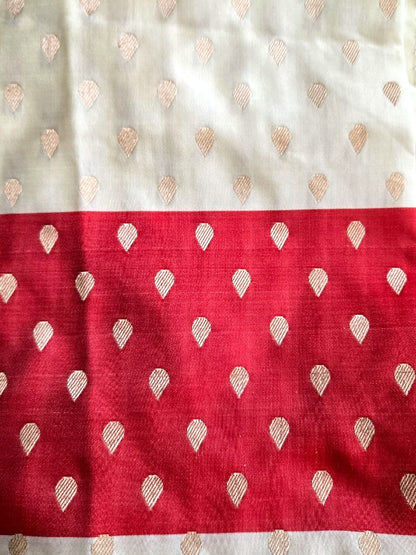 Contemporary Double Katan Banarsi Saree