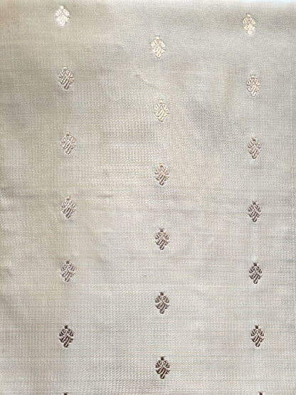 Contemporary Double Katan Banarsi Saree
