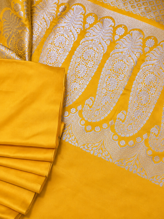 Contemporary Double Katan Banarsi Saree