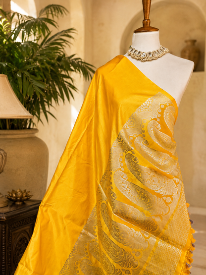 Contemporary Double Katan Banarsi Saree