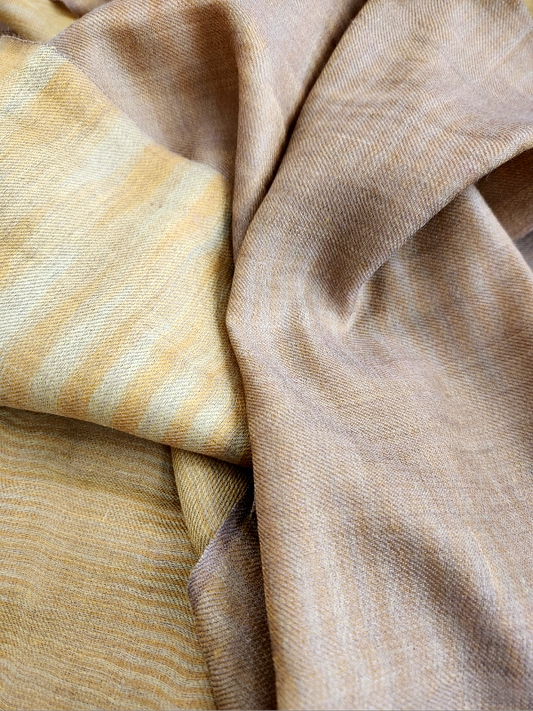 Wheat Beige Gold Pashmina Woolen Reversible Stole
