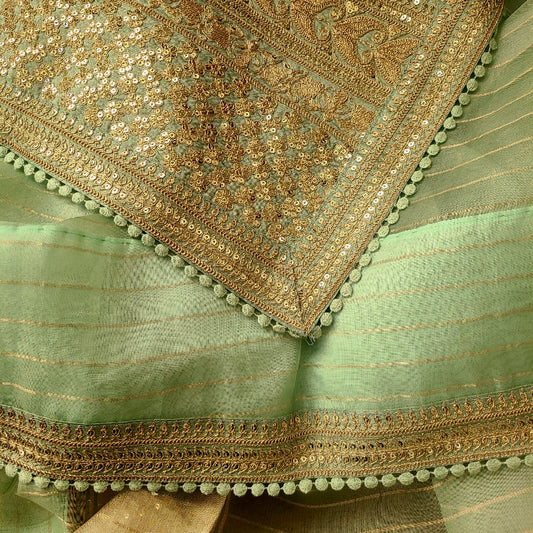 Mint Green Zardozi Organza Saree